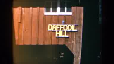 California USA (1969): People Milling About Daffodil Hill Gardens During A Sunny