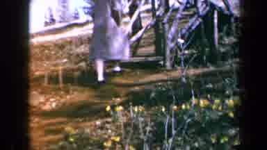 California USA (1969): Person Going Up Wooden Steps Past Some Daffodils Along A