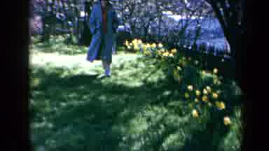 California USA (1969): People In Coats Walking Amongst Many Flowers On Windy Day