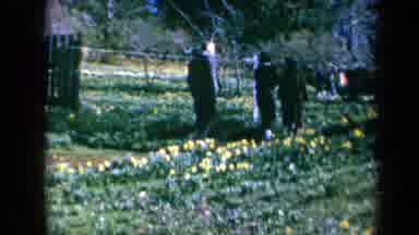California USA (1969): People Walks In Our Flower Garden Amid Our Wonderful Farm