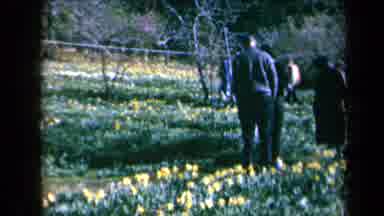 California USA (1969): People In The Park