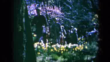 California USA (1969): Exploring The Beauty Of Nature In The Garden When The