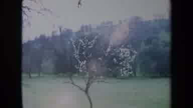 California USA (1969): Old Color Film Panning Over A Forest And River