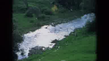 California USA (1969): A Stream Flowing Through The Forest A Car Traveling Through