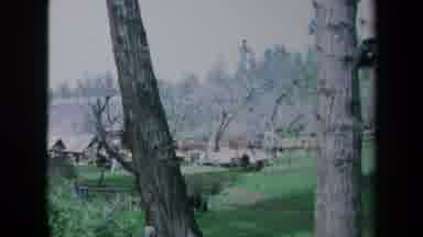 California USA (1969): People Setting Outdoor In A Middle Of Green Area Surrounded