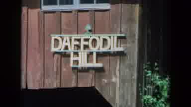 California USA (1969): Crowd Of People Walking Around The Daffodil Hill Tunnel And