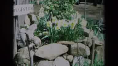 California USA (1969): Exploring The Beauty Of Nature With Different Kinds And