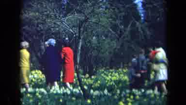 California USA (1969): Old Women And A Family Walking Around A Field Full Of White