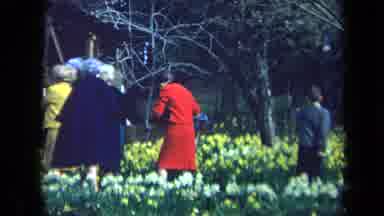 California USA (1969): Large Group Of People Takes A Walk Through A Field Filled