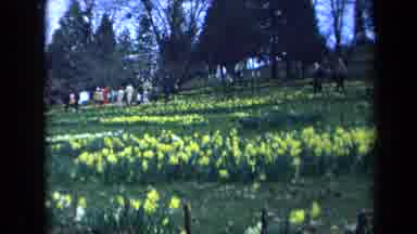 California USA (1969): So Many Flowers Are Blossoms In The Garden It Is So