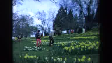 California USA (1969): The Persons Are Seeing In The Flower Exhibition And Enjoy