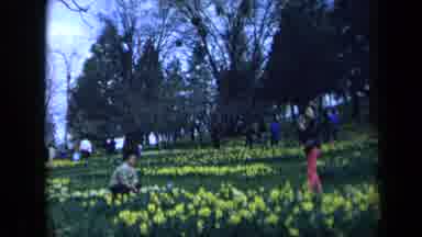 California USA (1969): A Day In The Local Park With My Lovely Girlfriend