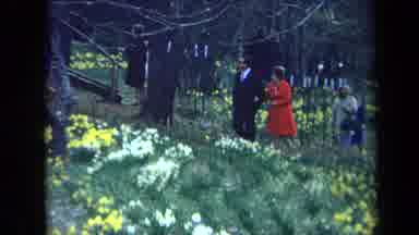 California USA (1969): Family Walking Up A Hill Covered In White And Yellow