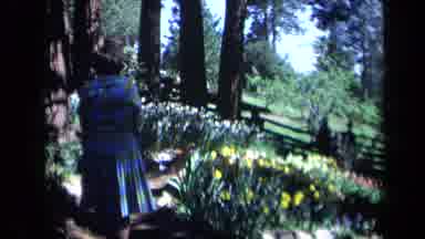 California USA (1969): Mother And Boy Walking In A Park With Flowers Trees And