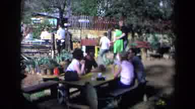 California USA (1969): Family Walking Through A Park Picnic On A Sunny Day