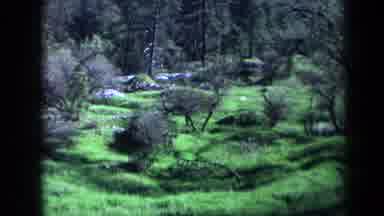 California USA (1969): An Overview Of A Green Landscape With A White And Brown