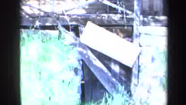 California USA (1969): Old Cabin In The Woods With Grass