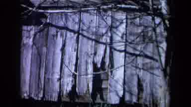 California USA (1969): A View Of Isolated Cabins