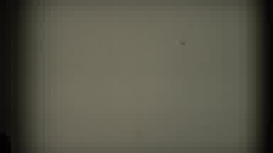 California USA (1969): Flies Flying Around Hunting For Their Foods