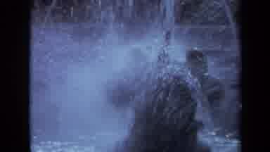 California USA (1969): Water Fountain In A Park Surrounded By Beautiful Blooming