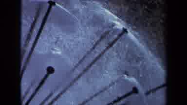 Sacramento California USA (1969): Sprinkler Sticks Spraying Water Around And The