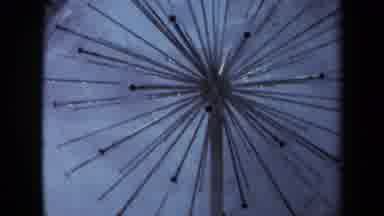 Sacramento California USA (1969): Building Architecture With Many Windows And