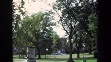 Annapolis USA (1970): Green Trees Swaying In The Wind On A Calm Day In The Park