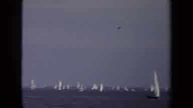 Annapolis USA (1970): Wide Shot Of Many Sailboats Out In The Ocean With A Focus On
