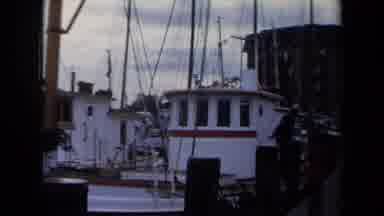 Annapolis USA (1970): Boats Sky Building Water People Moving Birds Stacks Busy