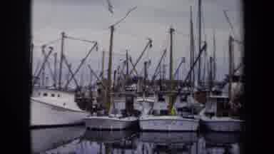 Annapolis USA (1970): Numerous White Boats Sitting Along The Peer Ready To Sail