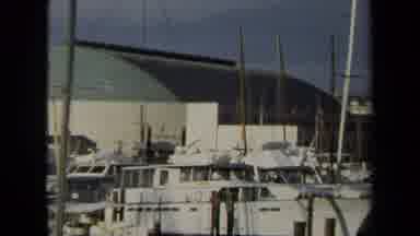 Annapolis USA (1970): Boats At Dock While Dog Passes By