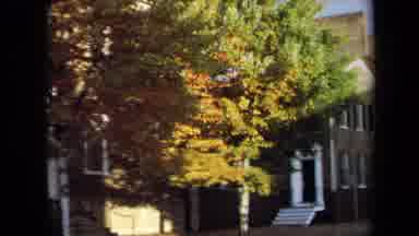 Annapolis USA (1970): A Big Tree In Front Of A House That Is Turning Colors At The