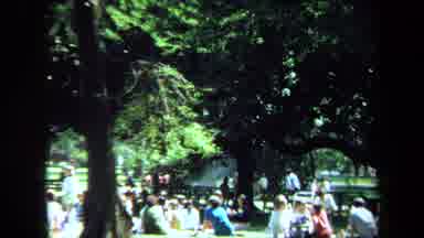 California USA (1970): People Hanging Around Sitting In The Park Enjoying The