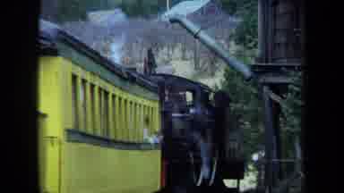 California USA (1970): A Train That Is Taking Others On A Great Tour Of Trees And