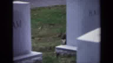 Washington DC USA (1970): Graveyard Taken In The Daytime Showing Uniform