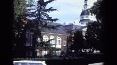 Washington DC USA (1970): Grand House With With Monkey Tree With A Nice Blue Sky