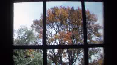 Washington DC USA (1970): Views Of A College Campus Outside Of A Window In Autumn
