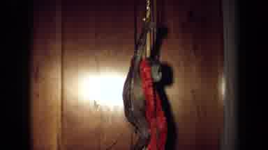 California USA (1971): Festive Fake Monkey Hanging Of Cain Outside The Door