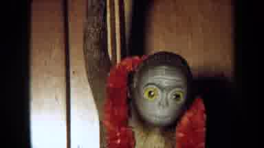 California USA (1971): Monkey Hanging From A Tree And Looking At Another Monkey