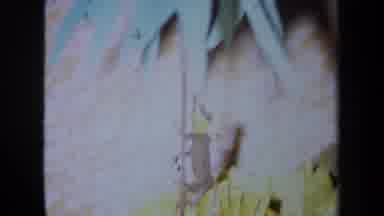 California USA (1971): Paper Monkey Climbs A Palm Tree And Large Paper Fish Are