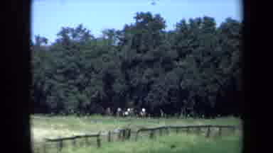 California USA (1971): Leisure Horseback Riding On The Edge Of A Green Clearing