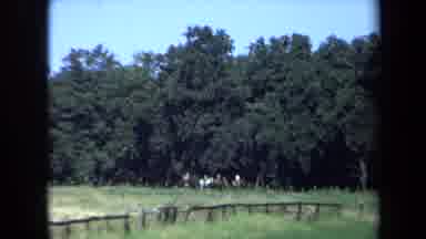California USA (1971): A Day At The Ranch