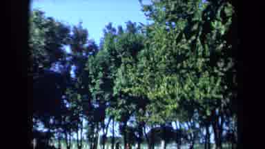 California USA (1971): Walking Through The Park