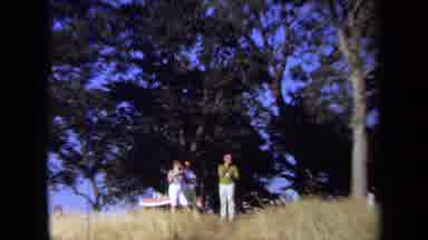 California USA (1971): Family Members Are Enjoying A Cup Of Tea At Their Picnic
