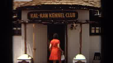 Laguna Hills California USA (1971): Woman In Dress Walking Into Kal-Kan Kennel And