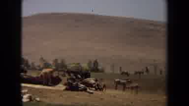 Laguna Hills California USA (1971): A Field Of Farm Animals Such As Horses Cows