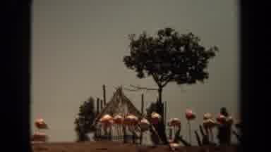 Laguna Hills California USA (1971): Flamingo Birds Roaming Near Wooden Hut And