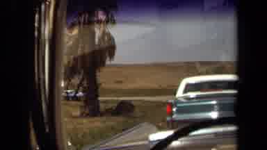 Laguna Hills California USA (1971): Shooting A Lion Family (A Couple And A Cub) In