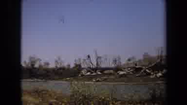 Laguna Hills California USA (1971): A Human Or Possible An Animal Standing In The