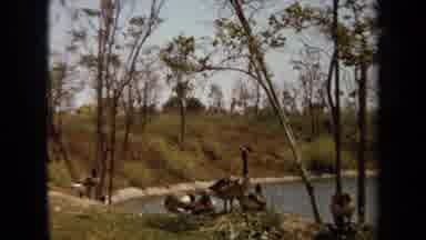 Laguna Hills California USA (1971): In The Road Near See The Warning Board Where